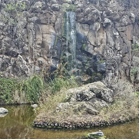 Vencejo & Citrina - Peaceful Nature Just Minutes From The * Las Palmas de Gran Canaria