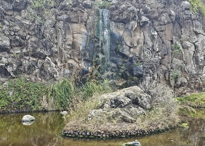 Vencejo & Citrina - Peaceful Nature Just Minutes From The * Las Palmas de Gran Canaria